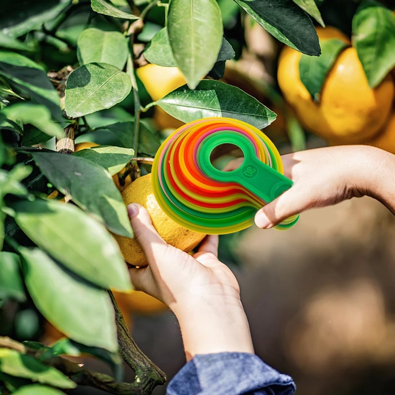 FUNOMOCYA Fruit Measuring Caliper Set for Diameter Measurement 17-Piece Plastic Fruits Gauge Tool for Farm Use 30-110mm Diameter - Image 2
